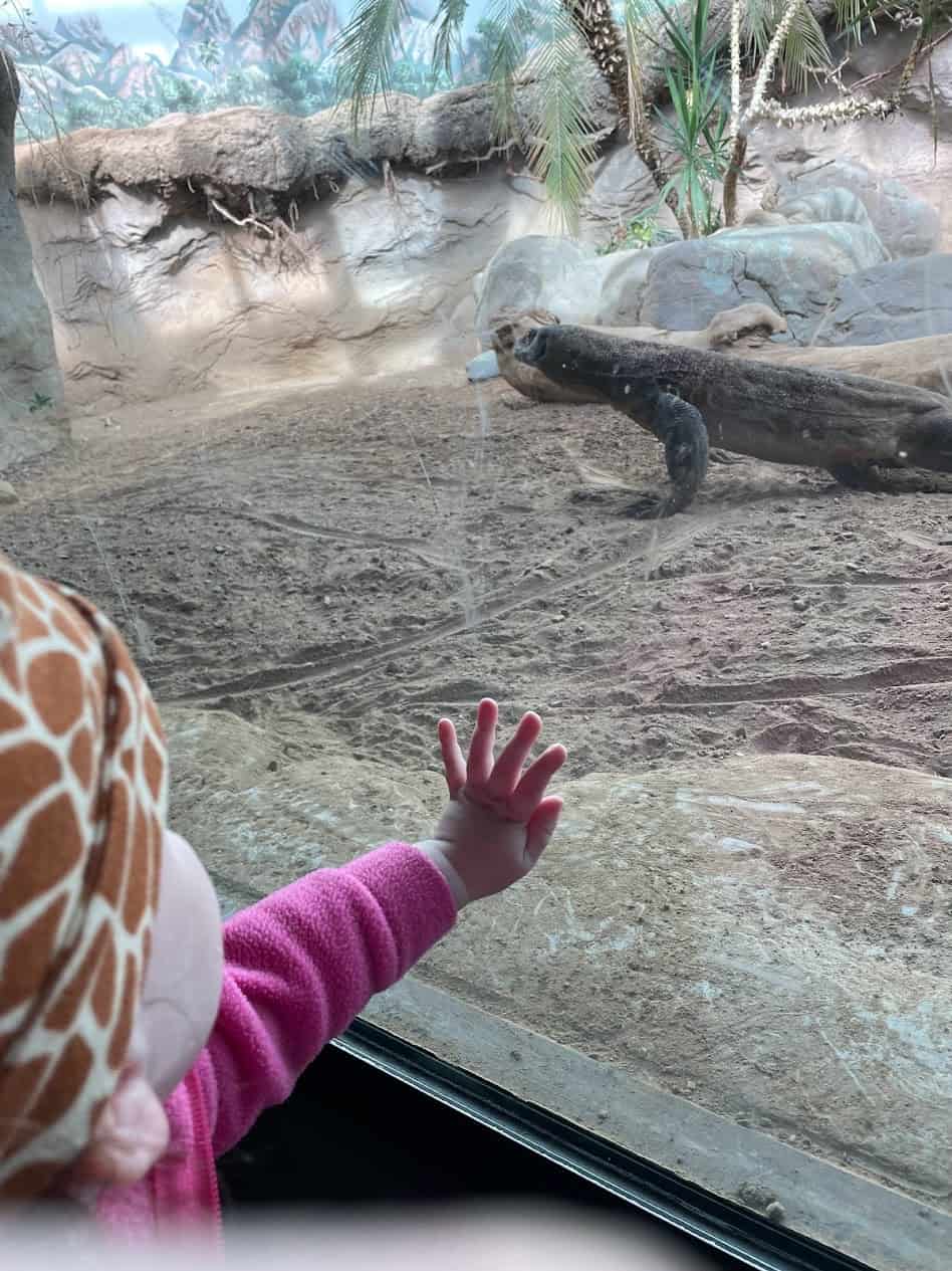 Favorite Thoughtful Baby and Toddler Gifts