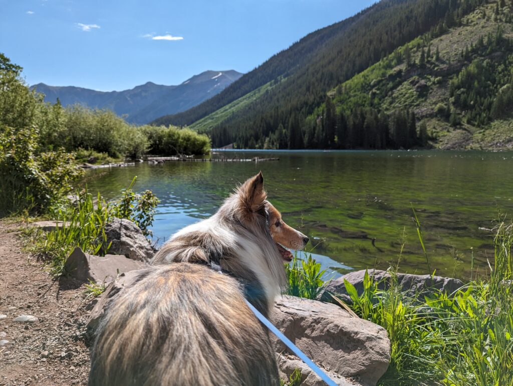 dog hiking maroon bells