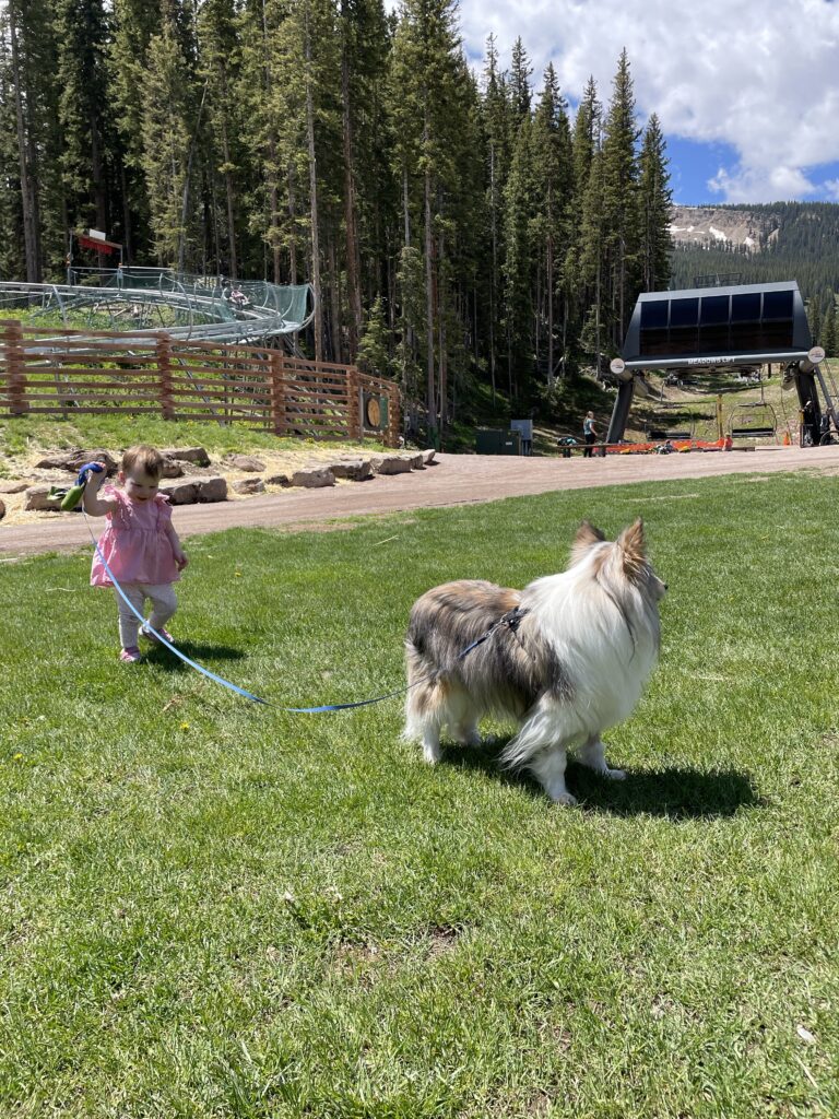 Snowmass Peak with toddlers